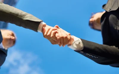 Romexped – Your Logistic Partner Who Guides, Not Just Delivers